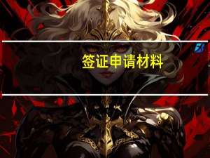 签证申请材料