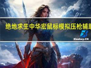 绝地求生中华宏鼠标模拟压枪辅助 V1.0 稳定版（绝地求生中华宏鼠标模拟压枪辅助 V1.0 稳定版功能简介）