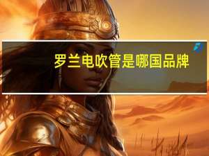 罗兰电吹管是哪国品牌