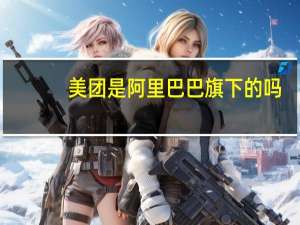 美团是阿里巴巴旗下的吗