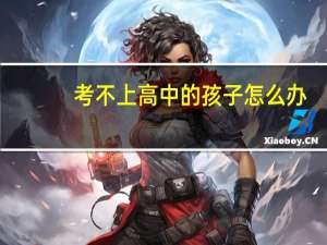 考不上高中的孩子怎么办