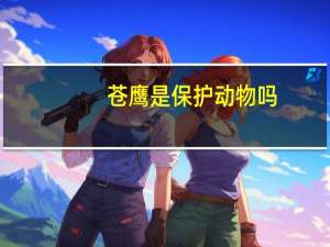 苍鹰是保护动物吗