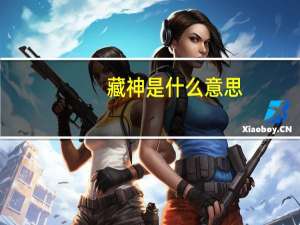 藏神是什么意思