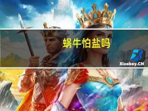 蜗牛怕盐吗