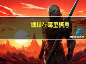 蝴蝶在哪里栖息