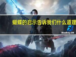 蝴蝶的启示告诉我们什么道理