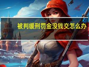 被判缓刑罚金没钱交怎么办