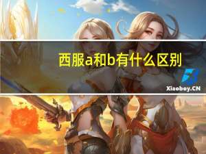 西服a和b有什么区别