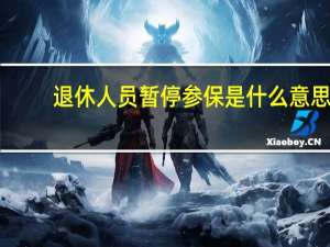 退休人员暂停参保是什么意思