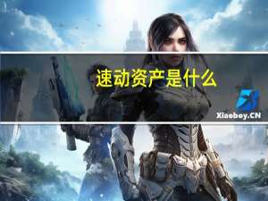 速动资产是什么