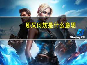 那又何妨是什么意思