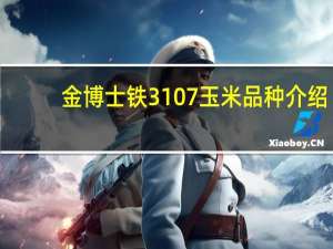 金博士铁3107玉米品种介绍