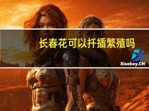 长春花可以扦插繁殖吗