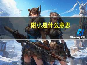 附小是什么意思