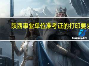 陕西事业单位准考证的打印要求