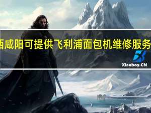 陕西咸阳可提供飞利浦面包机维修服务地址在哪