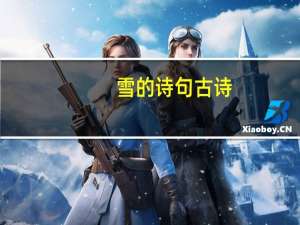雪的诗句 古诗（雪的诗句飞花令）