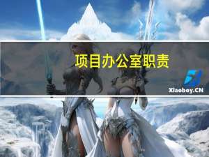 项目办公室职责