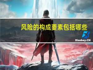 风险的构成要素包括哪些