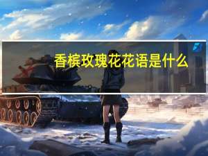 香槟玫瑰花花语是什么