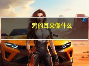 鸡的耳朵像什么