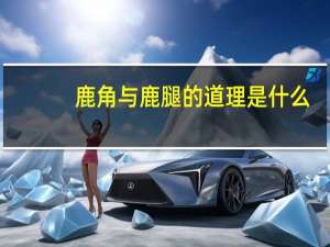 鹿角与鹿腿的道理是什么