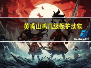 黄嘴山鸦几级保护动物