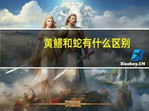 黄鳝和蛇有什么区别