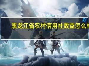 黑龙江省农村信用社效益怎么样