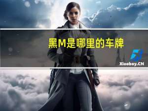 黑M是哪里的车牌