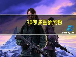 30磅多重参照物
