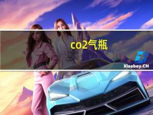 co2气瓶（co2）