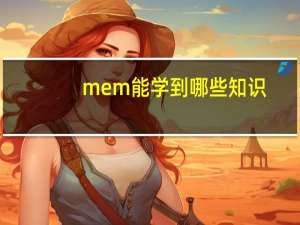 mem能学到哪些知识