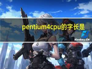 pentium4cpu的字长是（pentium4）