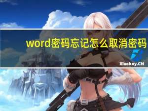 word密码忘记怎么取消密码（word密码）