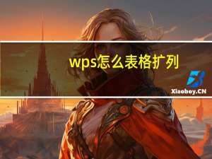 wps怎么表格扩列