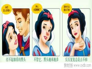 不要让你的鼻子离开聚光灯