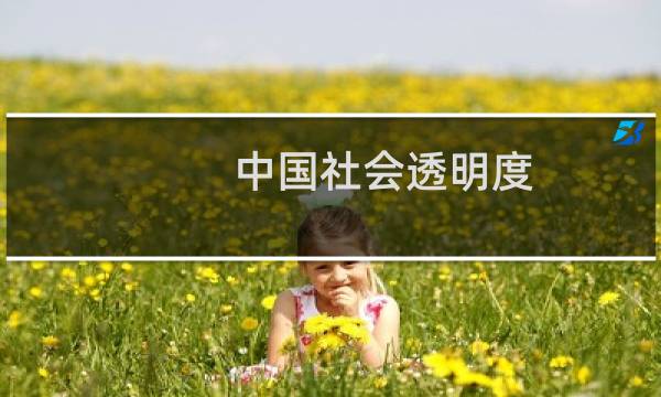 中国社会透明度