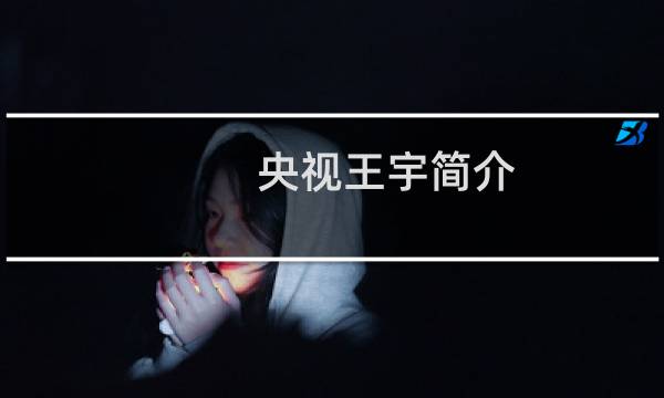 央视王宇简介
