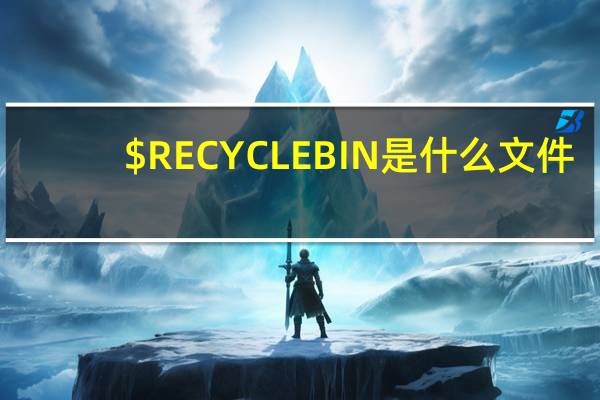 $RECYCLEBIN是什么文件