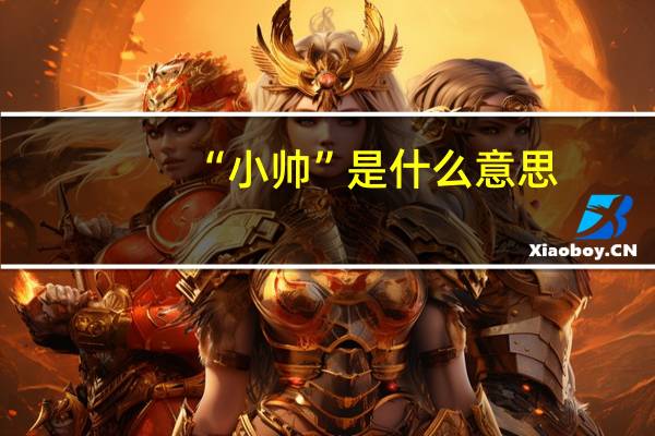 “小帅”是什么意思