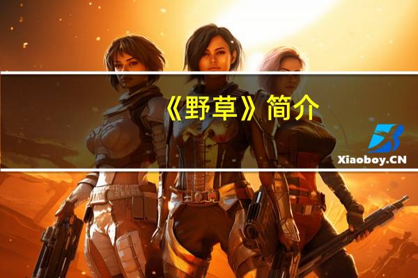 《野草》简介