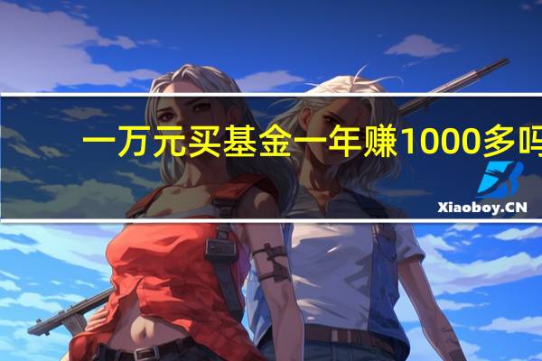 一万元买基金一年赚1000多吗