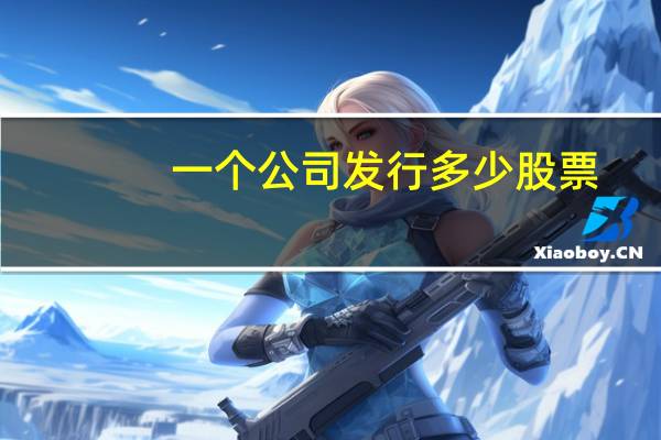 一个公司发行多少股票