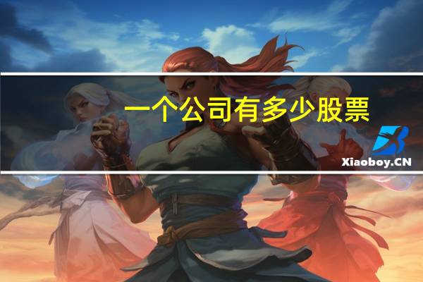 一个公司有多少股票