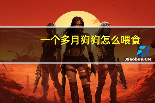 一个多月狗狗怎么喂食