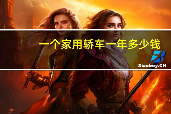 一个家用轿车一年多少钱