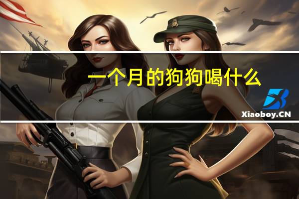 一个月的狗狗喝什么