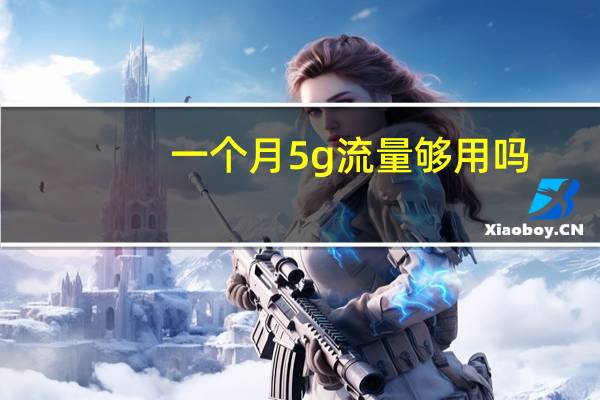 一个月5g流量够用吗