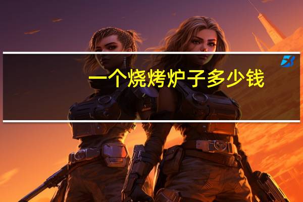 一个烧烤炉子多少钱